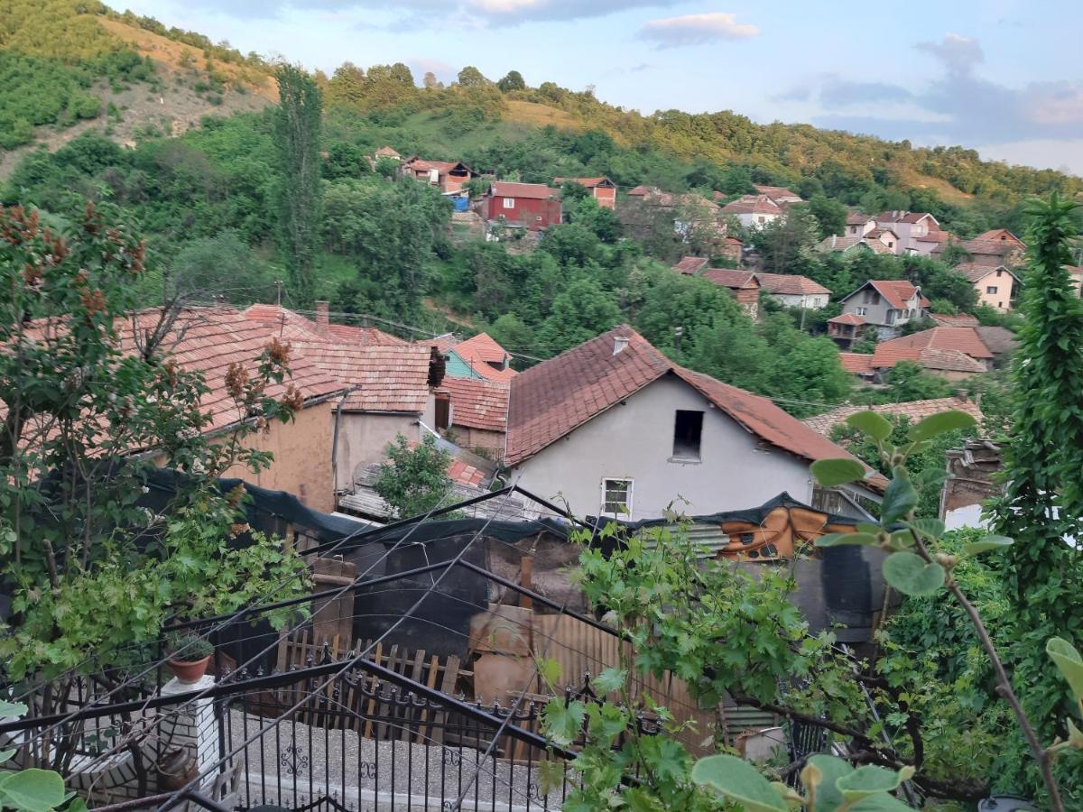 Vila Mir Pirot Exterior photo